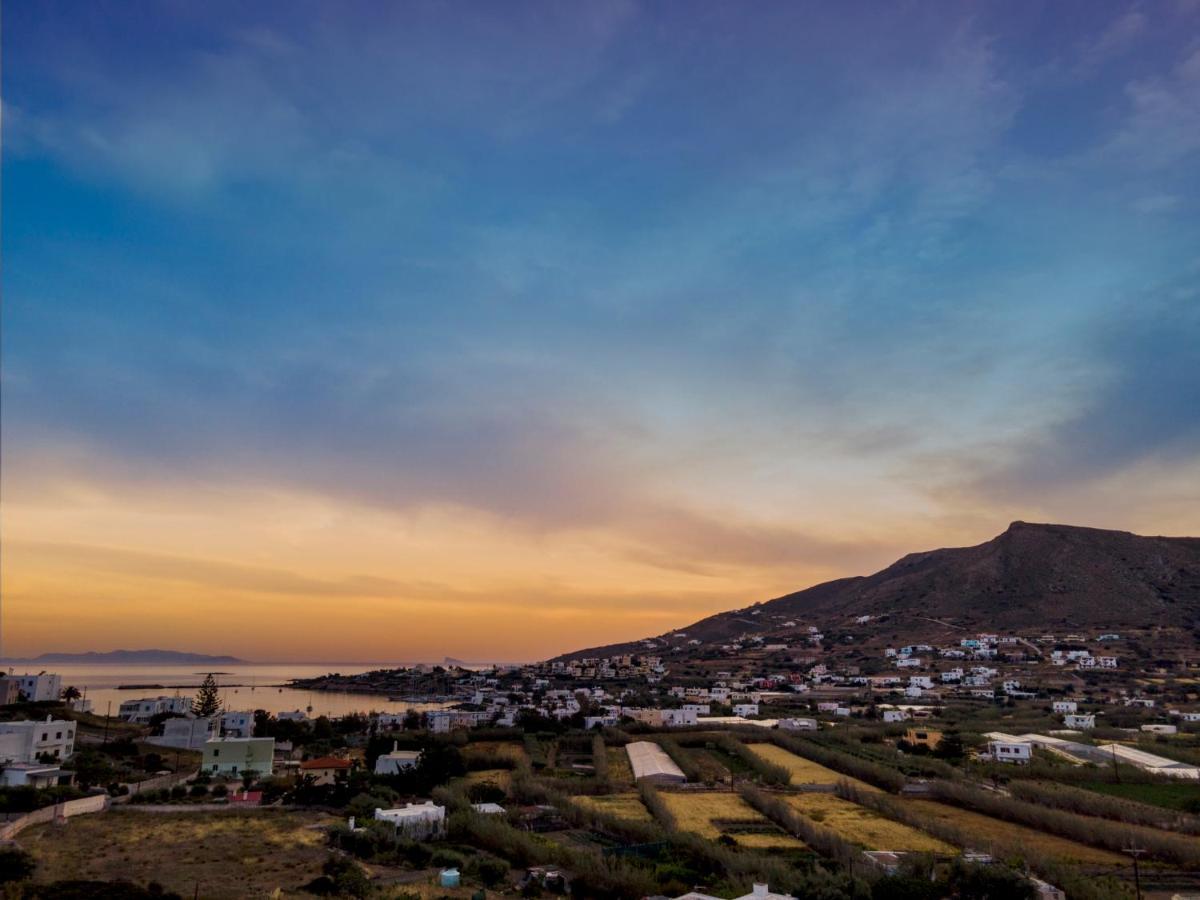 Villa Mare Syros ファイニカス エクステリア 写真