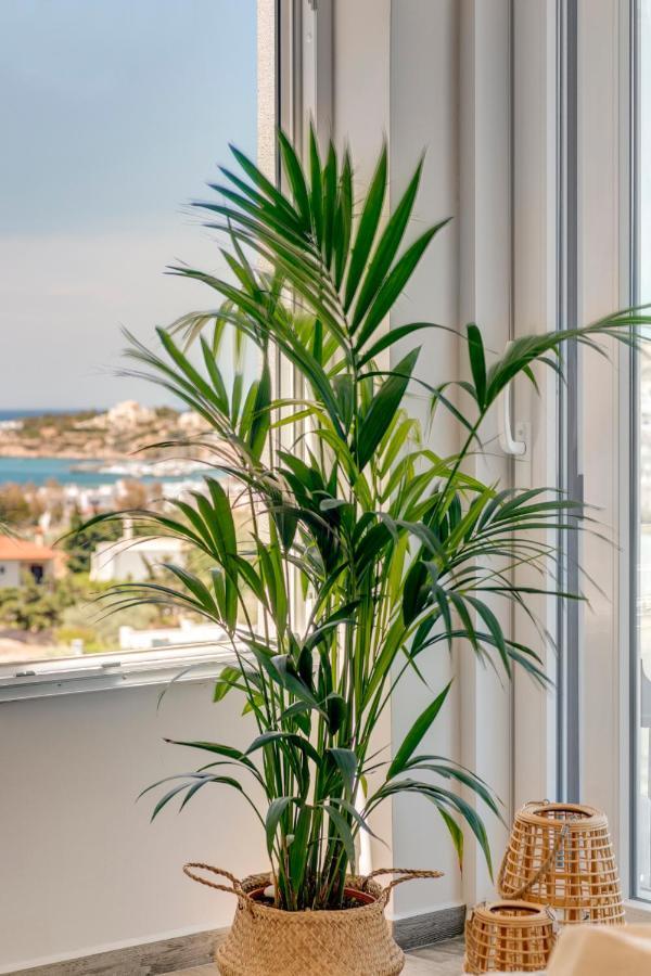 Villa Mare Syros ファイニカス エクステリア 写真